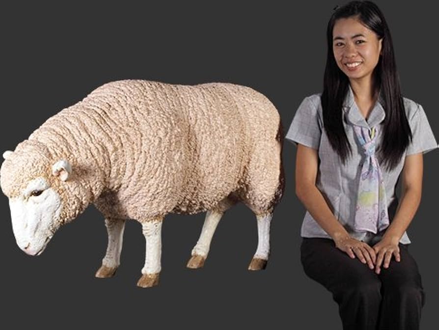 動物シリーズ　羊 日本初です‼ 世界いち可愛い羊の赤ちゃんが3頭、生まれました